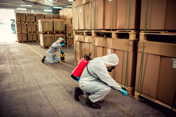 Best Pest Prevention Services  in Puxico, MO