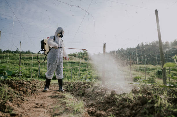 Best Pest Prevention Services  in Puxico, MO