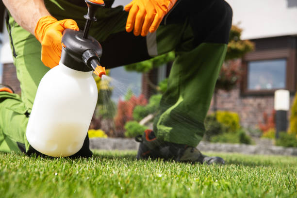 Best Pest Control Near Me in Puxico, MO