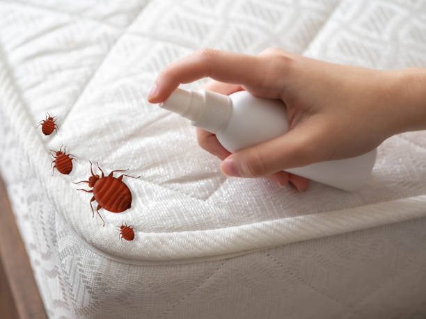 Best Pest Removal Services  in Puxico, MO