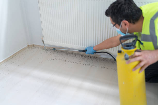 Best Ant Control Services  in Puxico, MO